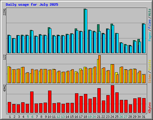 Daily usage for July 2025