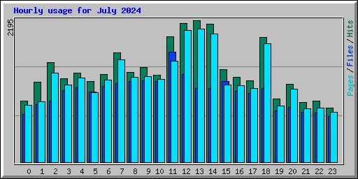 Hourly usage for July 2024