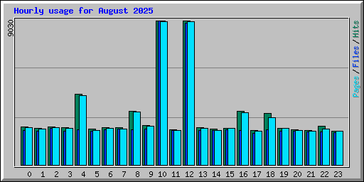 Hourly usage for August 2025