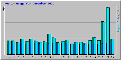 Hourly usage for December 2025